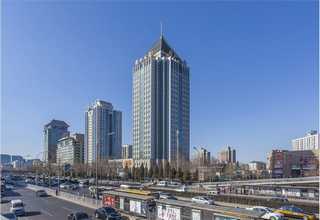 昆明母猪饲料批发